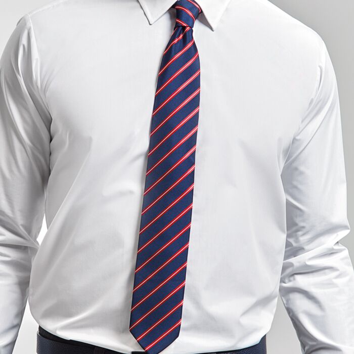 Premier Sports Stripe Tie Thumbnail